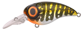 0001_Spro_Fat_Iris_50_CR_[Northern_Pike].jpg
